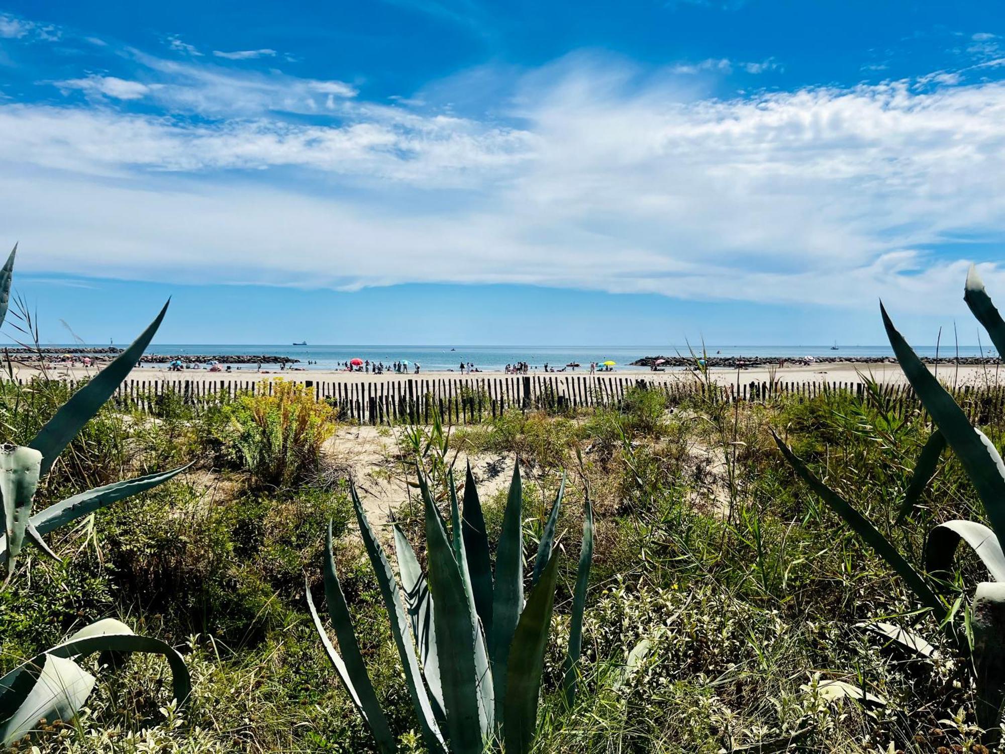 Appartement En Bord De Mer Sète Eksteriør billede
